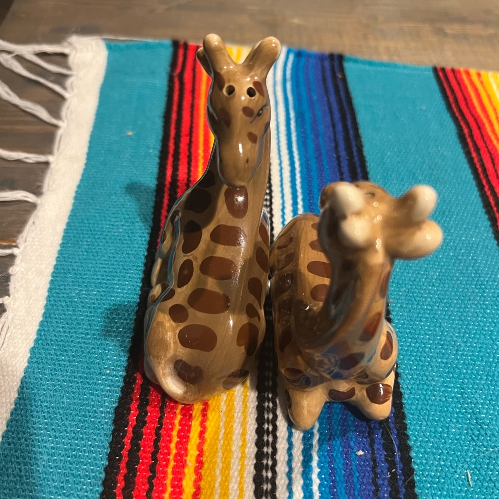 Brown Giraffe Salt & Pepper Shakers - Picture 2 of 5
